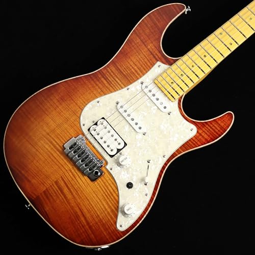 限定レア美品 FUJIGEN EOS 22F フジゲン FUJIGEN eos」の人気商品一覧 | 安い商品を通販サイトから